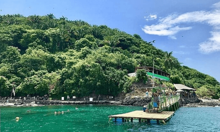 Isla del Coral: el muelle, el restaurante entre la vegetación y gente haciendo snorkel en agua turquesa